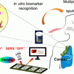 In Vitro Diagnostic (IVD)
