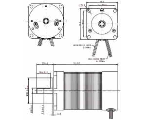 Brushless DC Motor 36V