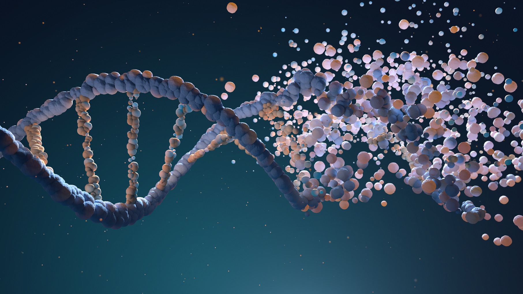 DNA affected by UV